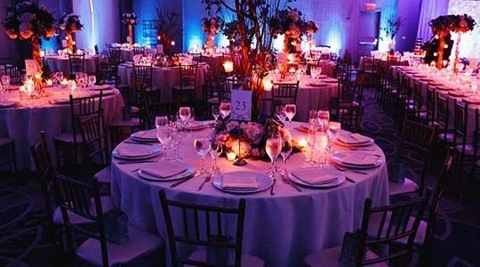 1only restaurant cafe