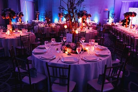 1only restaurant cafe