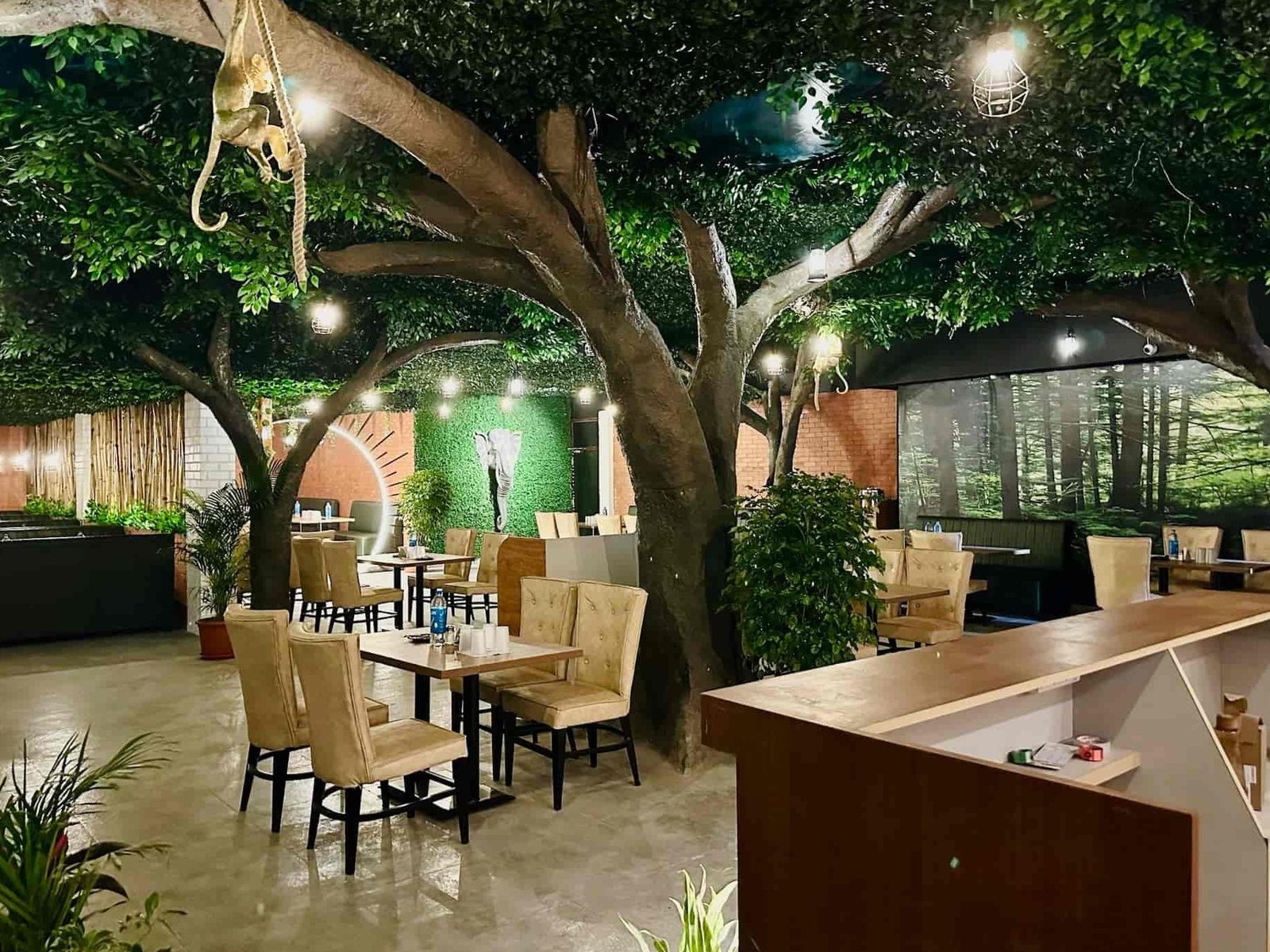 Aranyam Jungle Theme Restaurant | Hanamkonda Warangal 7 aranyam jungle theme restaurant hanamkonda warangal