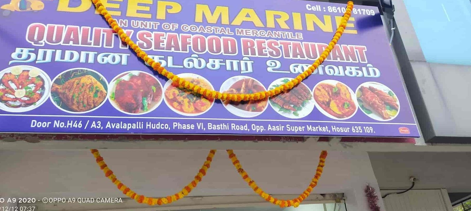 deep marine sea food restaurant and deep sea proteins fresh sea fish