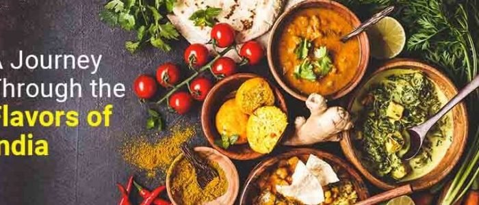 discovering the best food in singrauli india a culinary explorers guide