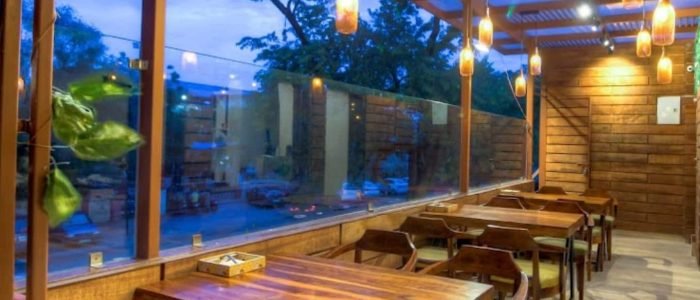 dosaka the best south indian restaurant in c scheme jaipur