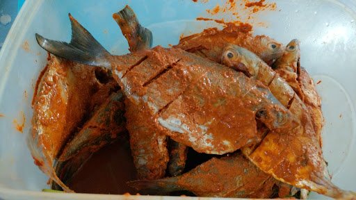 Deep Marine Sea Food Restaurant and Deep Sea Proteins Fresh Sea Fish