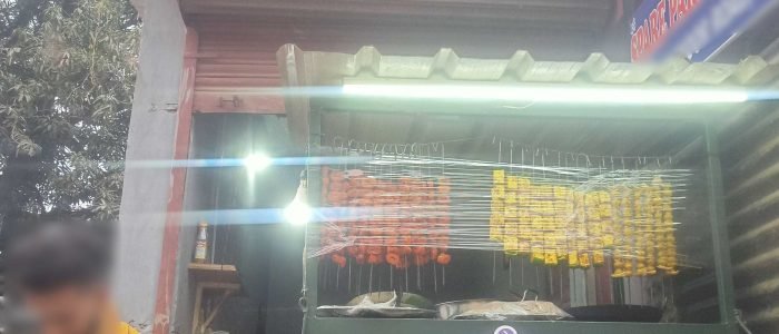 hello jammu restaurant