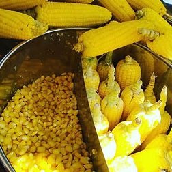 Mr & Ms Corn - Ballari 1 mr ms corn ballari