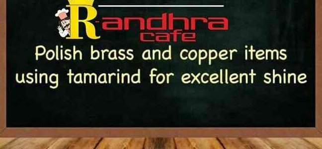 r andhra cafe best south indian restaurant in gandhinagar