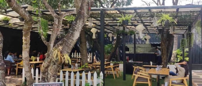 the backyard bistro grill 1