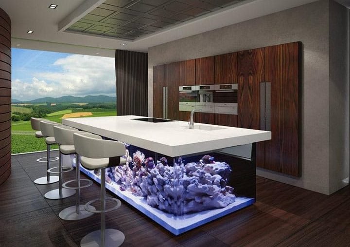 the ocean kitchen 1