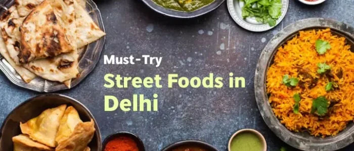 the ultimate street food adventure a guide to essential food in delhi india