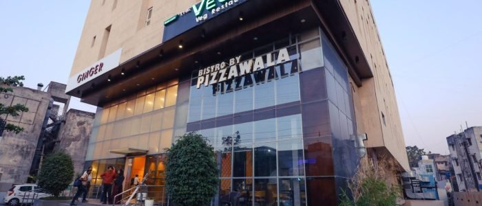 the vegan veg restaurant 1