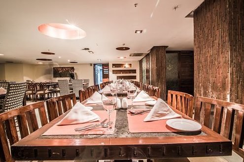 time traveller urban herbivore 1