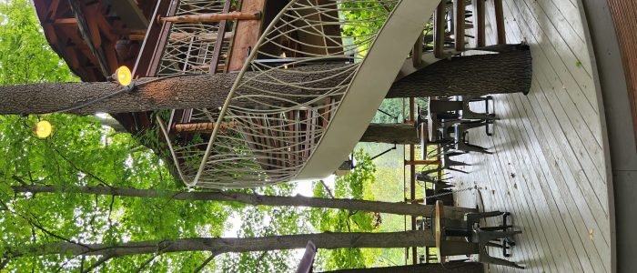 Tree House Restaurant 1 tree house restaurant