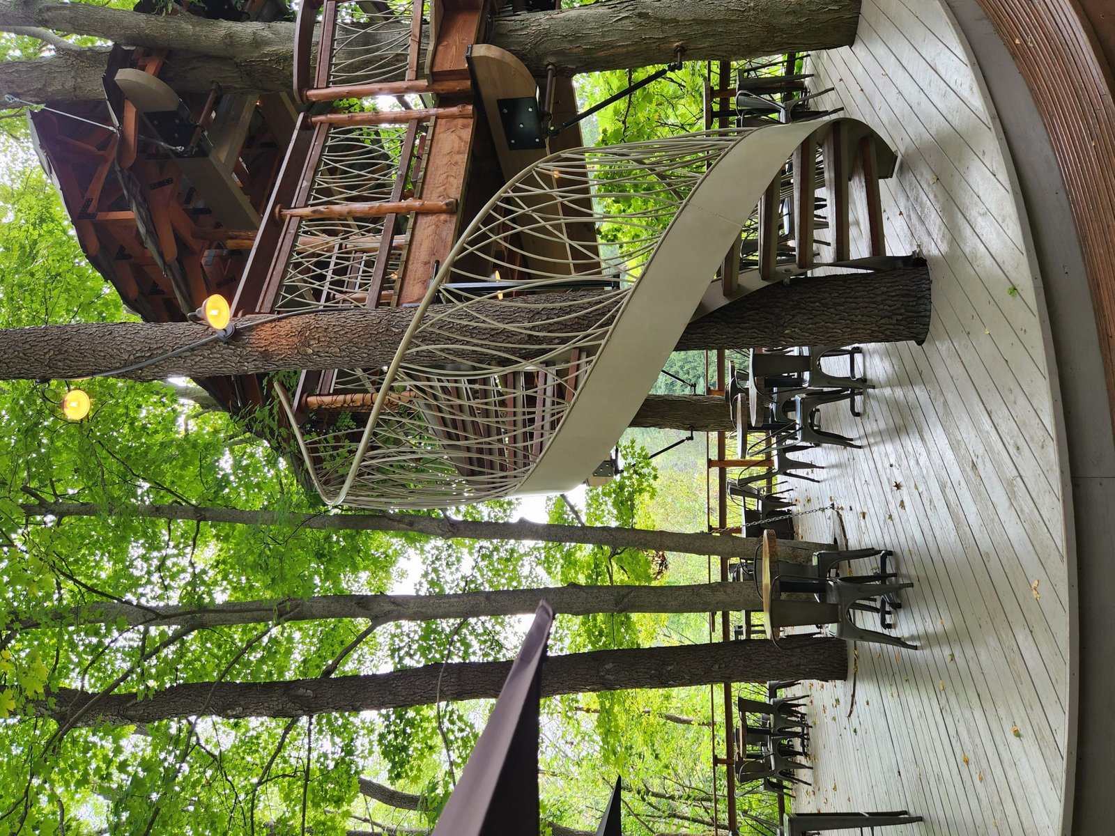 tree house restaurant scaled