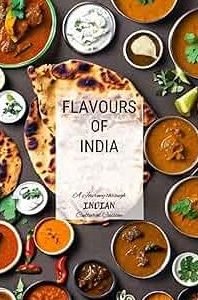 unveiling the flavors a culinary journey through food in bhilwara india