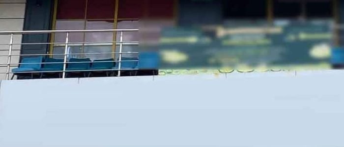 william johns pizza vapi